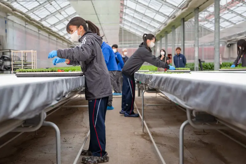太陽光利用型植物工場_01