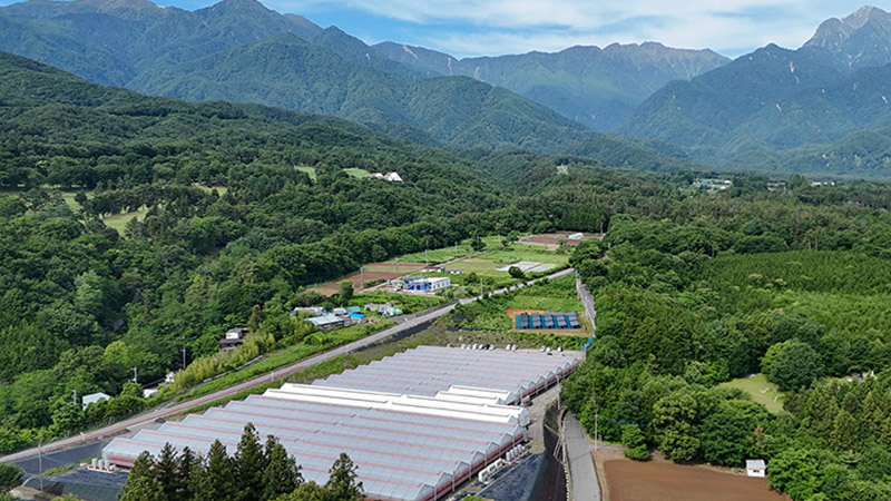 Driving Sustainable Road Transport Across Europe