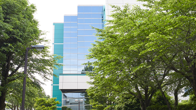 Driving Sustainable Road Transport Across Europe